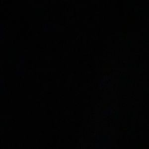 Meet your Posher, Ripley